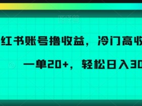 小红书如何通过笔记带货，精准引流和带货的全流程解析