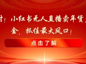 小红书如何通过笔记带货，精准引流和带货的全流程解析