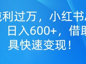 小红书推广引流玩法，10种最快上手的方法与技巧