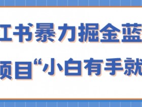 小红书笔记带货需要什么条件，一步步了解申请条件与审核流程