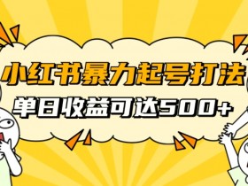 小红书带货与引流结合的最佳实践，高效提升销量的操作指南