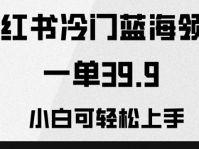 小红书如何通过笔记带货，从流量到销售的全方位技巧