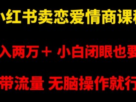 小红书如何通过笔记带货，从流量到销售的全方位技巧