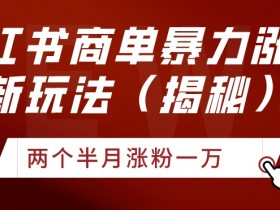 如何使用小红书笔记引流微信，突破流量瓶颈的引流方案