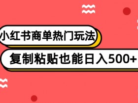 如何使用小红书笔记引流微信，突破流量瓶颈的引流方案