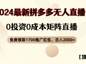 拼多多无人直播适合新手吗，零基础操作指南与收益解析