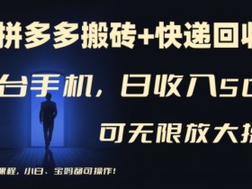 拼多多无人直播适合新手吗，零基础操作指南与收益解析