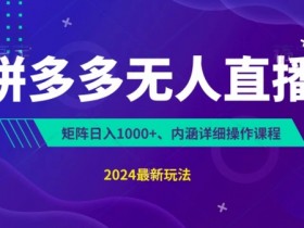 拼多多无人直播软件功能解析，如何选择适合自己的工具