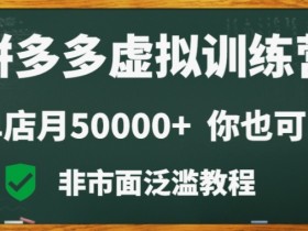 拼多多无人直播软件功能解析，如何选择适合自己的工具