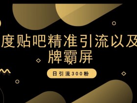 手把手干货教程，贴吧引流技术与防删技巧全攻略