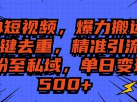 短视频平台流量如何分发，理解分发机制提升自然流量