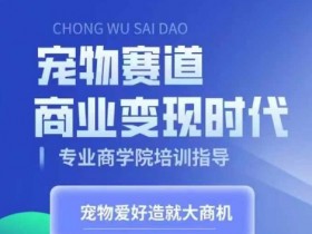 短视频平台流量如何分发，理解分发机制提升自然流量