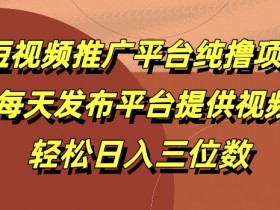 抖音短视频变现的核心是什么，从广告到电商的全攻略