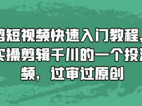 抖音短视频变现的核心是什么，从广告到电商的全攻略