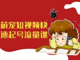 短视频运营方案及变现方法，打造稳定收益的全套策略