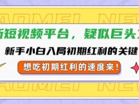 短视频运营计划书模板，简单易懂的新手教程