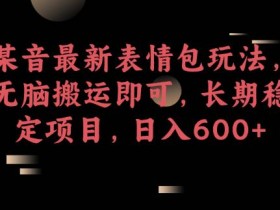 表情包项目成功案例分享，从零到百万收益的操作全解析