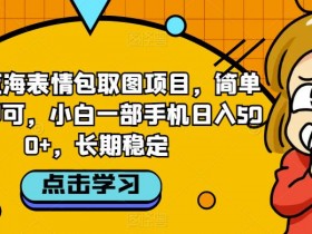 表情包项目成功案例分享，从零到百万收益的操作全解析