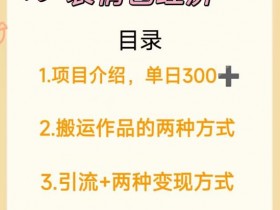 表情包项目成功案例分享，从零到百万收益的操作全解析