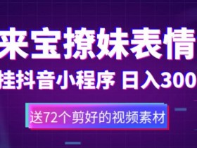 表情包项目成功案例分享，从零到百万收益的操作全解析