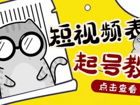 表情包项目成功案例分享，从零到百万收益的操作全解析