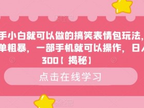 表情包项目如何通过流量主盈利，社交平台广告收益的实战案例