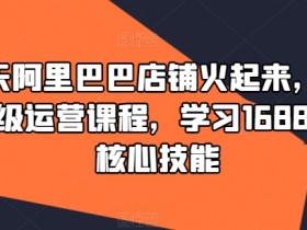 阿里国际站运营如何优化店铺，从布局到文案的全面指导