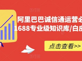 阿里国际站运营思路剖析，8个关键点助力运营成功