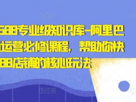 阿里国际站P4P投放方案解析，如何通过精准投放获取询盘？