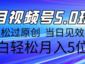 视频号素人直播的引流策略，如何吸引精准流量到直播间？