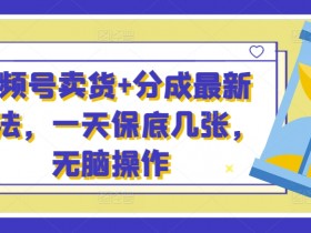 视频号素人直播带货技巧大全，从选品到成交的全攻略