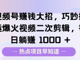 视频号素人矩阵号的多账号管理技巧，如何高效分配资源？