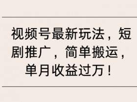 视频号素人矩阵号的多账号管理技巧，如何高效分配资源？