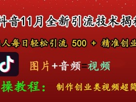 抖音矩阵社群营销怎么玩，从引流到变现的完整操作指南