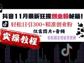 抖音矩阵社群营销怎么玩，从引流到变现的完整操作指南