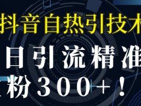 抖音社群如何跨界合作，通过联合营销提升品牌影响力