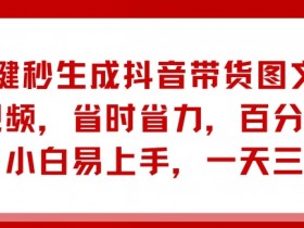 抖音带货项目计划书，从选品到推广的完整商业策划模板