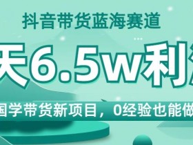 抖音带货橱窗与小店的区别，哪种模式更适合新手？