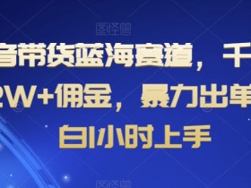 抖音带货橱窗与小店的区别，哪种模式更适合新手？