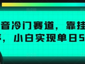 抖音带货达人必备技巧，提升视频播放量与转化率的秘诀