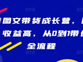 抖音带货达人必备技巧，提升视频播放量与转化率的秘诀