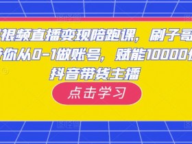 抖音短视频带货数据怎么看，从流量到收益的分析技巧