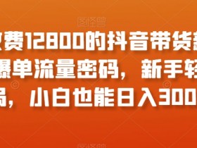 抖音带货项目简短评价，深入分析热门带货项目的可行性