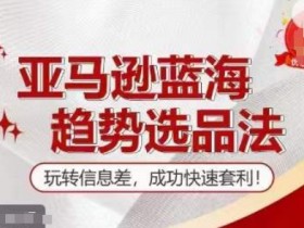 亚马逊成人用品的供应链管理技巧，如何降低采购与运输成本？