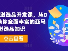 亚马逊成人用品的供应链管理技巧，如何降低采购与运输成本？