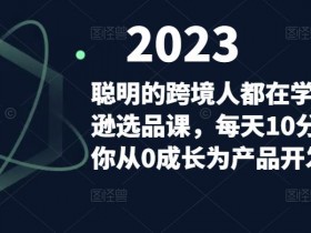 亚马逊成人用品行业需要注意什么，避免踩坑的实用建议