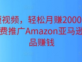 亚马逊成人用品推广方式有哪些，站内站外全方位营销解析