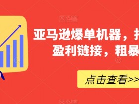 亚马逊成人用品项目怎么样，从盈利模式到市场机会的全面解析