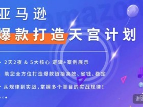 亚马逊成人用品项目怎么样，从盈利模式到市场机会的全面解析