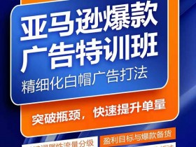 亚马逊成人用品项目怎么样，从盈利模式到市场机会的全面解析